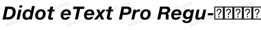 Didot eText Pro Regu字体转换
